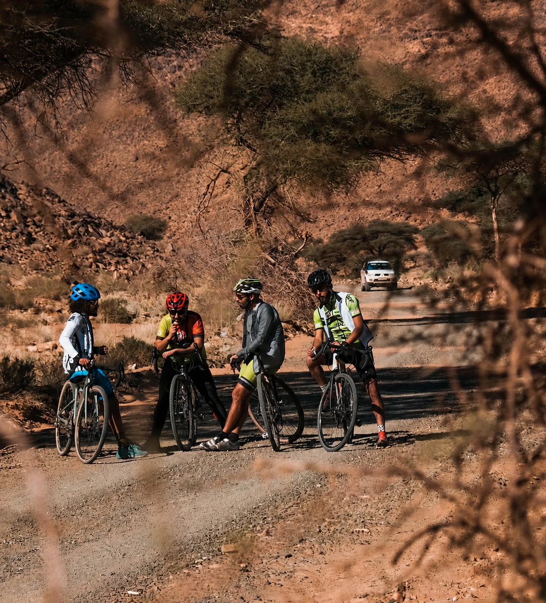 BIKE TOURS