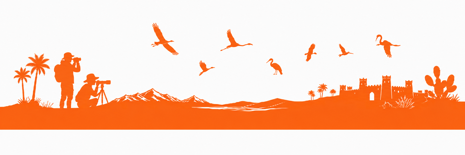 Bird Watching Decoration